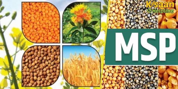 किसानों के लिए खुशखबर, गेहूं, चना, जौ समेत 6 रबी फसलों की बढ़ाई गई MSP, मसूर में 500 रुपये प्रति क्विंटल का इजाफा किसानों के लिए खुशखबर, गेहूं, चना, जौ समेत 6 रबी फसलों की बढ़ाई गई MSP, मसूर में 500 रुपये प्रति क्विंटल का इजाफा